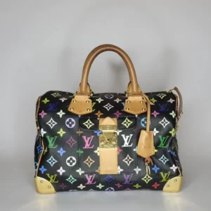 Louis Vuitton Speedy 30 Multicolor