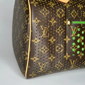 Louis Vuitton Speedy 30 ( Limited Edition )